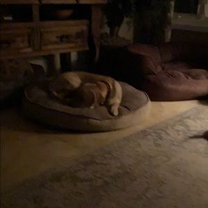 Meet your Posher, Chad